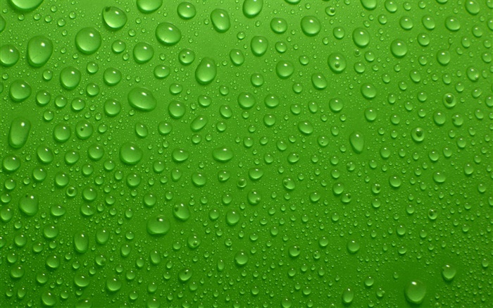 Water drops, green background Wallpapers Pictures Photos Images