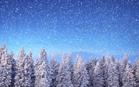 Winter, spruce trees, blue sky, snowflakes, snow HD wallpaper