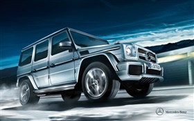 2012 Mercedes-Benz G-class w463 silver car