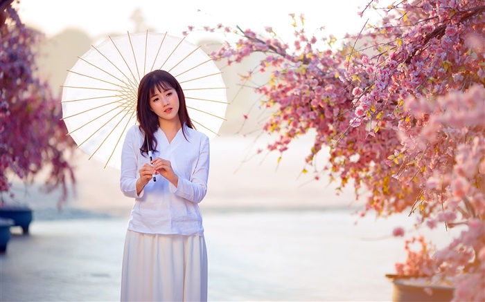 Asian girl, umbrella, pink flowers, beautiful pictures Wallpapers Pictures Photos Images