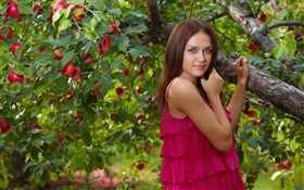 Blue eyes girl, red dress, apple tree, red apples HD wallpaper