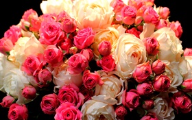 Bouquet rose flowers, red and white HD wallpaper