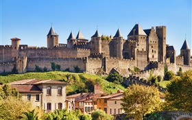 Castle of Carcassonne, France, city, houses HD wallpaper