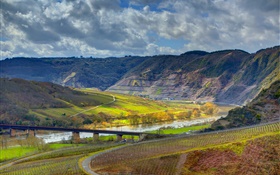 Ediger-Eller, germany, mountains, river, bridge, vineyard HD wallpaper