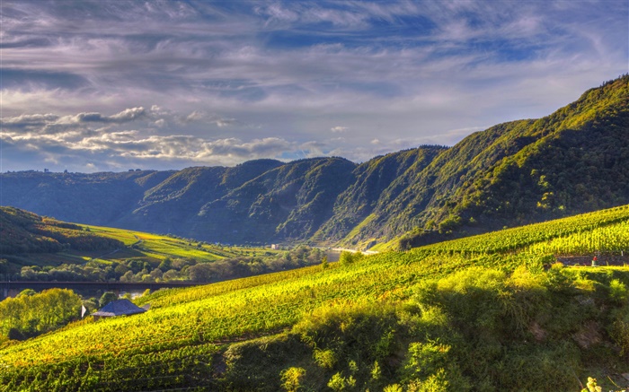 Germany, Ediger-Eller, mountain, river, slope Wallpapers Pictures Photos Images