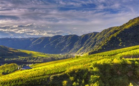Germany, Ediger-Eller, mountain, river, slope HD wallpaper