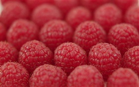 Many raspberry, red, bokeh HD wallpaper