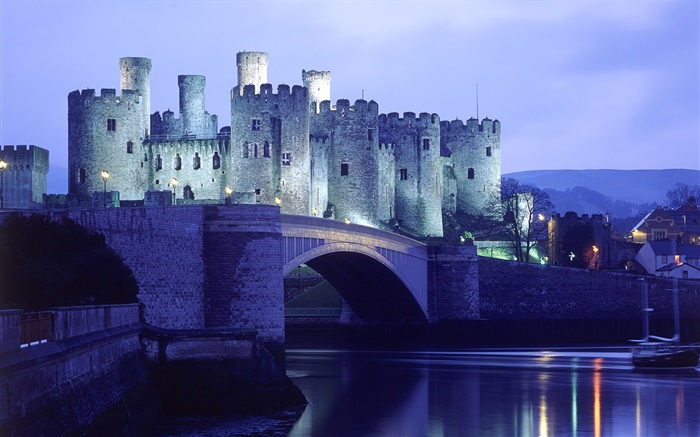 Night, castle, lights, bridge Wallpapers Pictures Photos Images