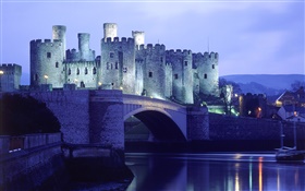 Night, castle, lights, bridge HD wallpaper
