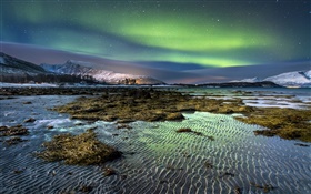 Norway, northern lights, night, stars, sea, coast, winter, snow HD wallpaper