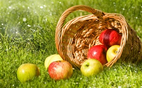 Red and green apples, fruit, basket, grass HD wallpaper