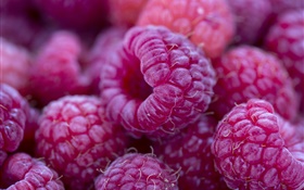 Red berries, raspberry, macro photography HD wallpaper
