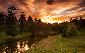 Sunset, river, trees, summer, red sky HD wallpaper