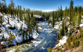 Yellowstone National Park, USA, forest, trees, river, snow, winter HD wallpaper