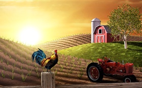 3D pictures, farm, field, tractor, cock, house, sun HD wallpaper