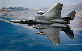 CF-18 Hornet multipurpose fighter HD wallpaper