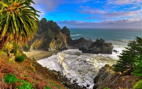 California, USA, Palma, coast, sea, trees