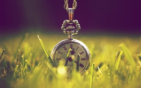 Clock in the grass, green, sunlight HD wallpaper