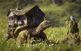 Creative pictures, turtle, house, flowers, grass, stump, bird HD wallpaper