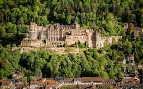 Germany, Heidelberg Castle, trees, houses HD wallpaper
