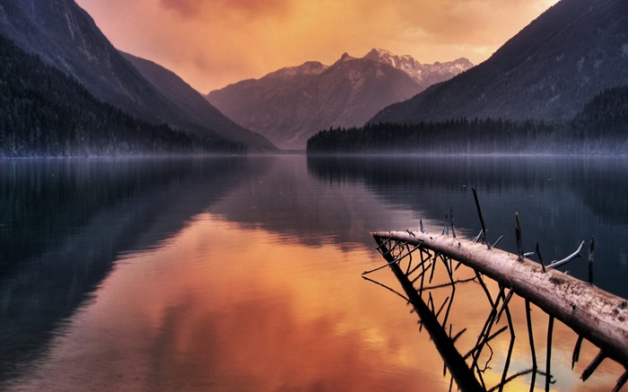 Lake, branches, mountains, dusk Wallpapers Pictures Photos Images