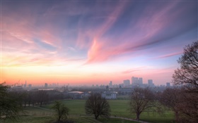 London, England, Greenwich park, houses, dawn HD wallpaper