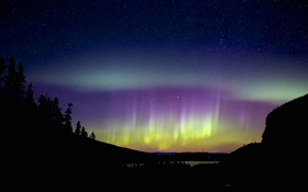 Northern lights, silhouettes, beautiful night HD wallpaper