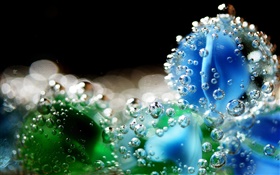 Water drops close-up HD wallpaper