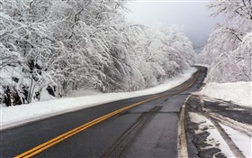 Winter, snow, road, trees, white HD wallpaper