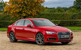 2015 Audi A4 sedan, red car HD wallpaper