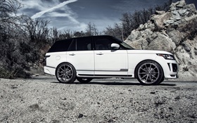 2015 Land Rover Range Rover white car side view HD wallpaper