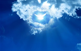 Abstraction design, dove, clouds, sky