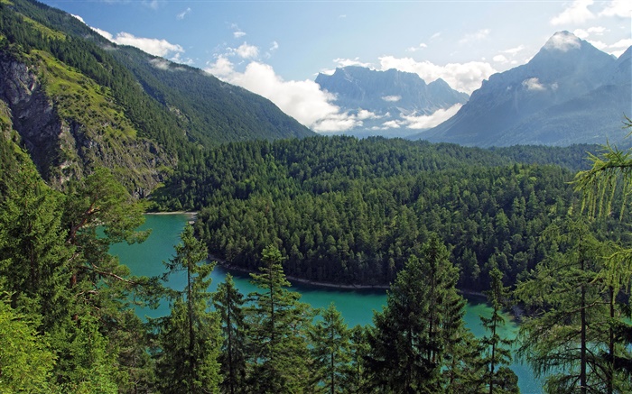 Austria, Tyrol, mountains, forests, trees, river Wallpapers Pictures Photos Images