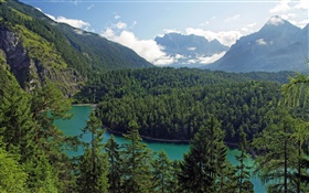 Austria, Tyrol, mountains, forests, trees, river