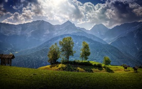 Austria, mountains, trees, clouds, grass HD wallpaper
