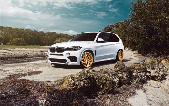BMW X5M white SUV car Wallpapers Pictures Photos Images