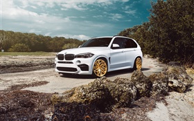 BMW X5M white SUV car HD wallpaper