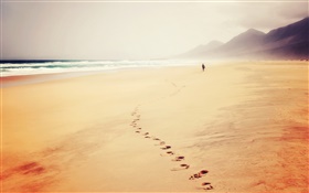 Beach, sea, traces, footprint, fog, people