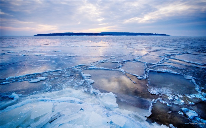 Cold arctic, ice, snow, sea, dusk Wallpapers Pictures Photos Images