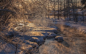 Cold winter, trees, river, thick snow HD wallpaper