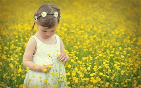Cute girl child, canola flower field HD wallpaper