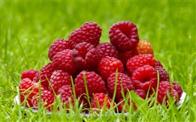 Fresh raspberries, red berries, grass, summer HD wallpaper