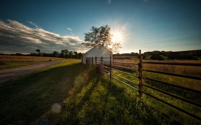 Grass, road, trees, fence, house, sun Wallpapers Pictures Photos Images