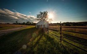 Grass, road, trees, fence, house, sun HD wallpaper
