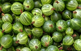 Green gooseberries HD wallpaper