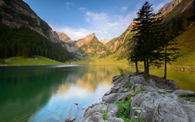 Lake, mountains, trees, stones, summer