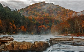 Mountains, sky, clouds, forest, trees, river, stones, autumn HD wallpaper