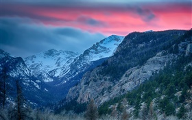 Rocky Mountain National Park, Colorado, USA, mountains, trees