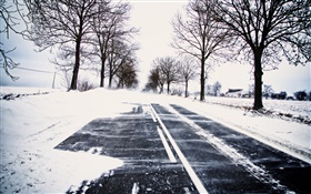 Snow, winter, road, trees, power lines, house HD wallpaper