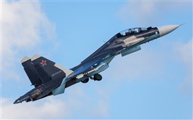 Su-30CM multipurpose fighter HD wallpaper